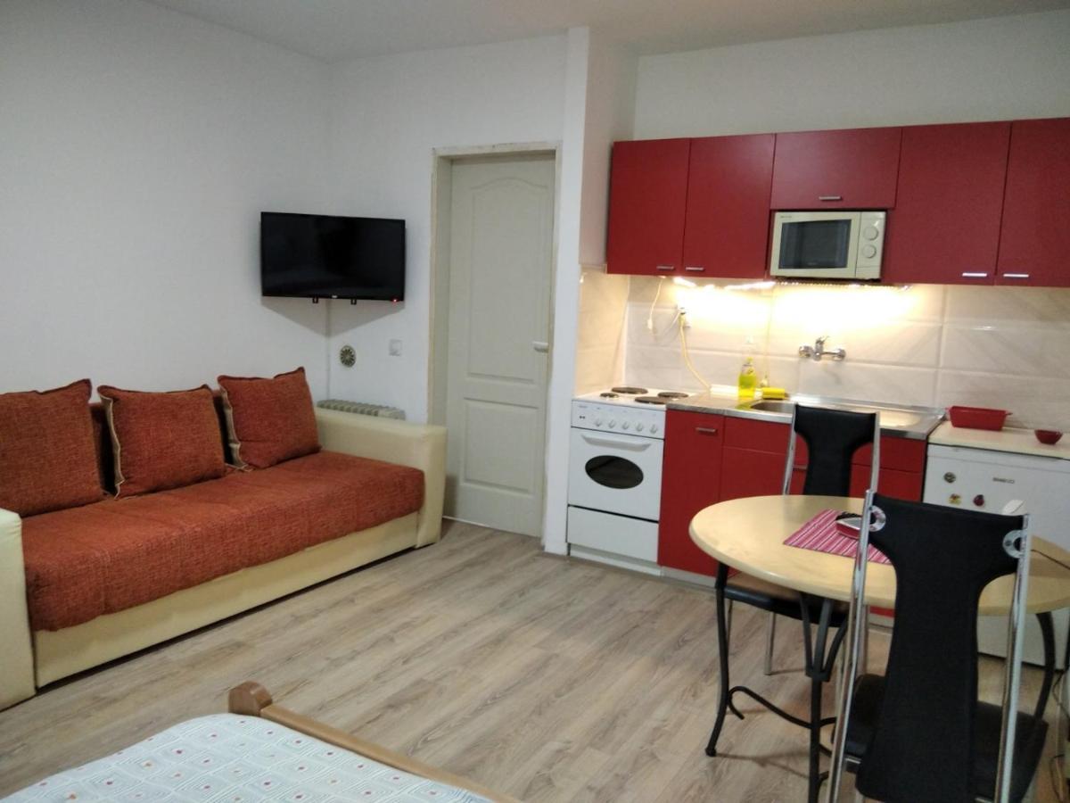 Apartman 4 - Studio Janja Soko Banja Exterior foto