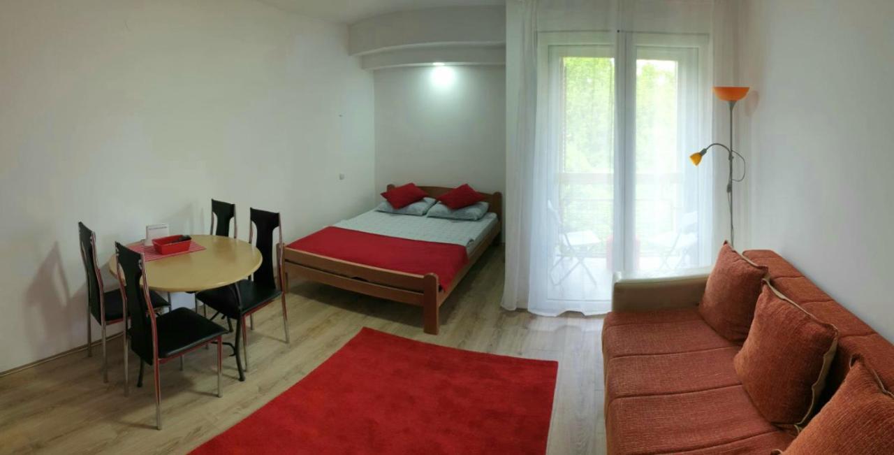 Apartman 4 - Studio Janja Soko Banja Exterior foto