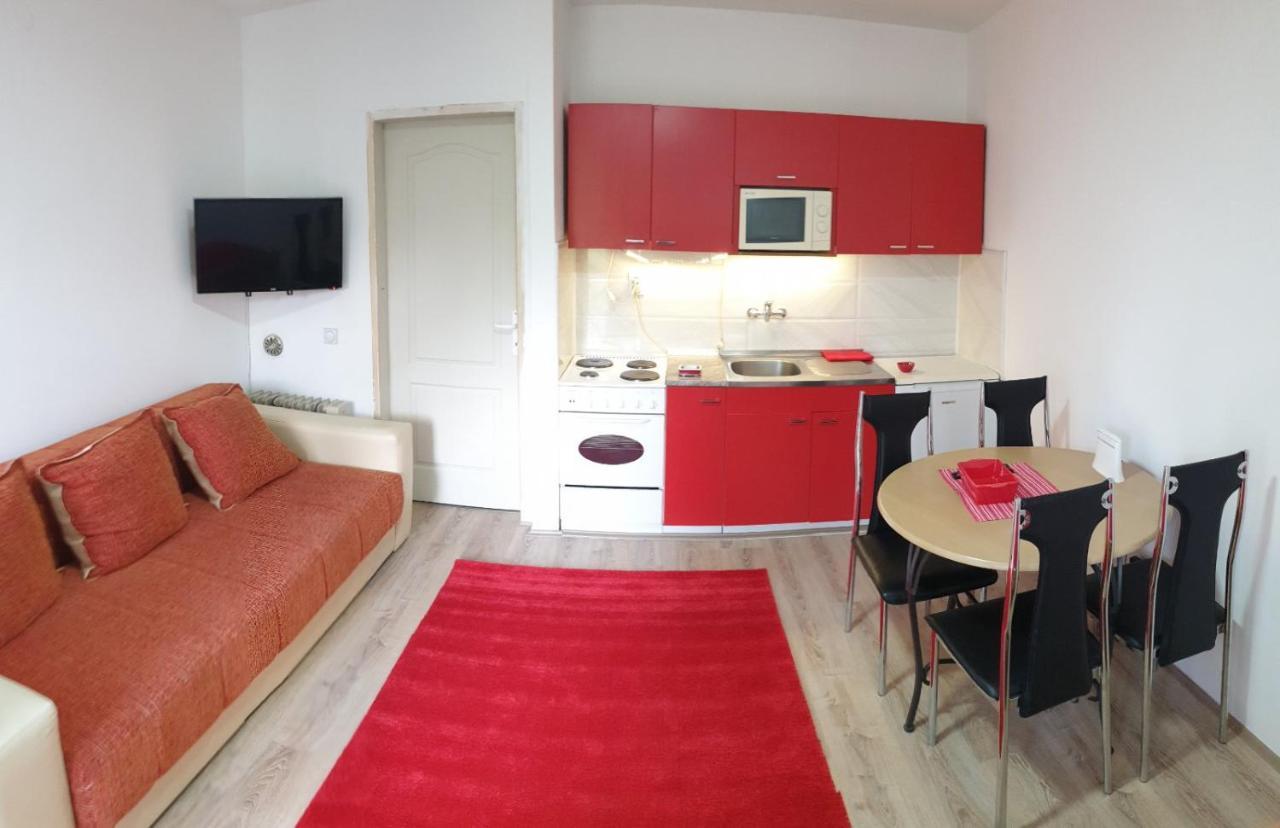 Apartman 4 - Studio Janja Soko Banja Exterior foto